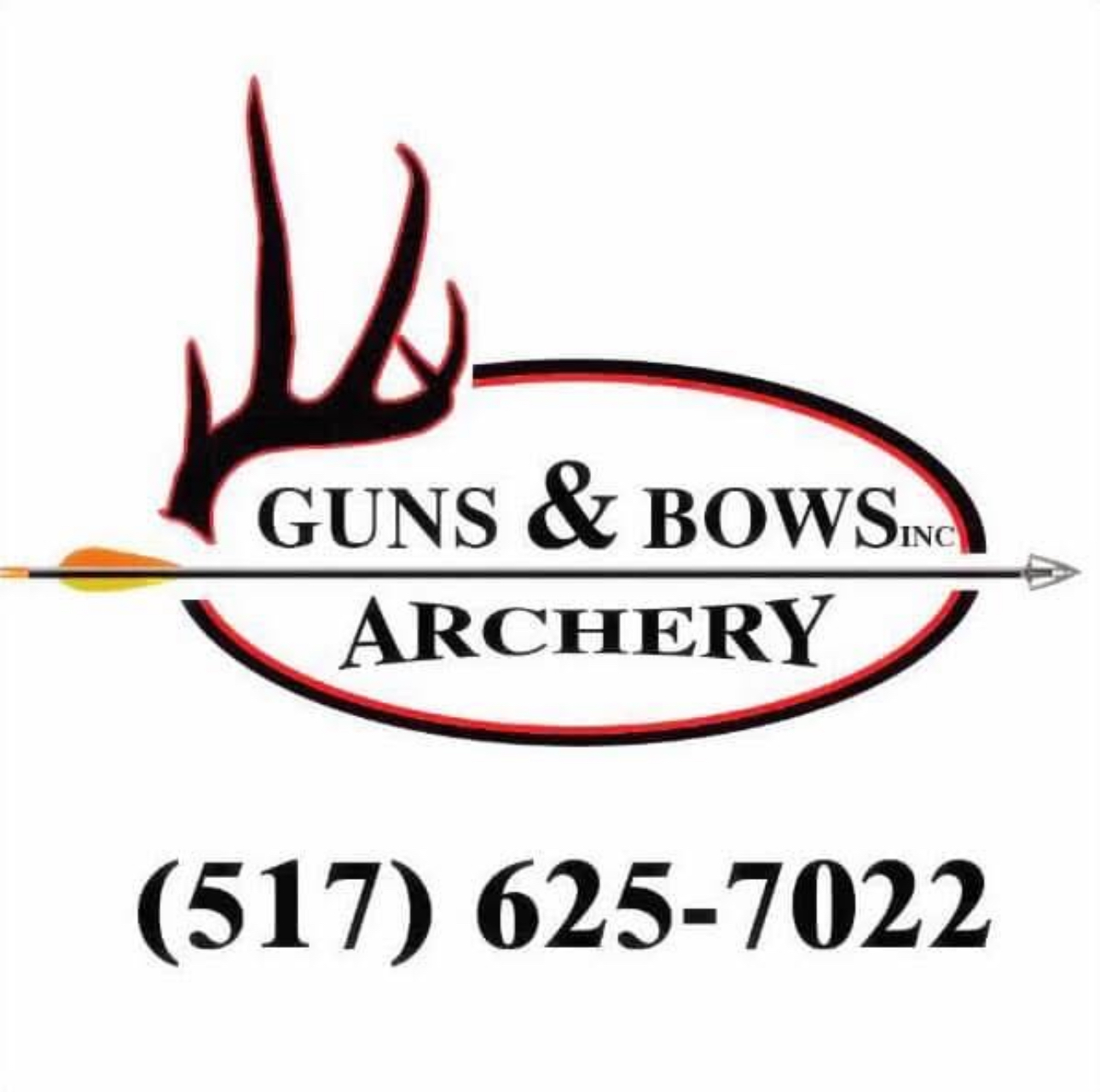 Guns and Bows